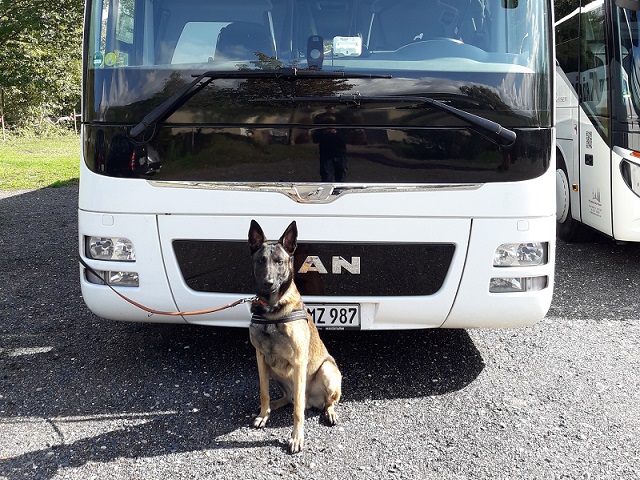 Frontansicht des Reisebusses mit Hund